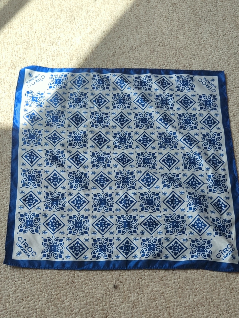 Blue and White Patterned Silk Scarf - Cîroc